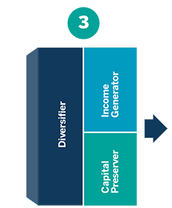 Customize to investor objectives chart thumbnail